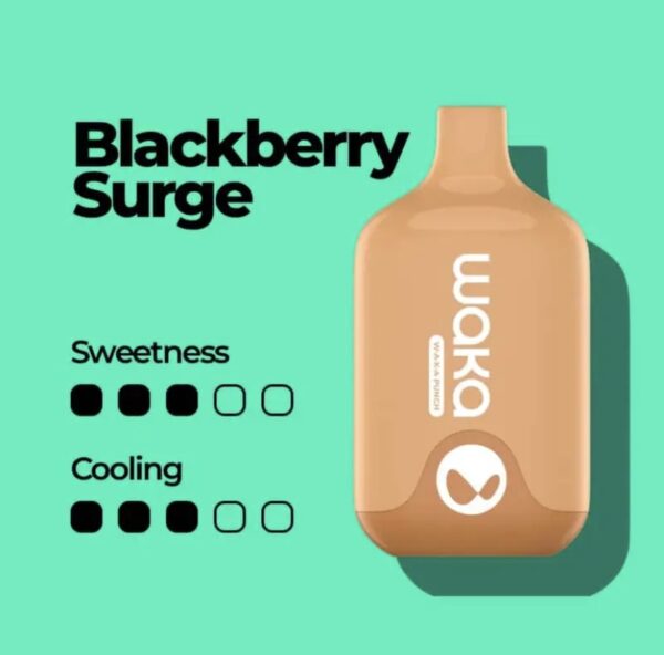 Waka Smash 6000 Puffs Disposable Vape Blackberry Surge - Image 2