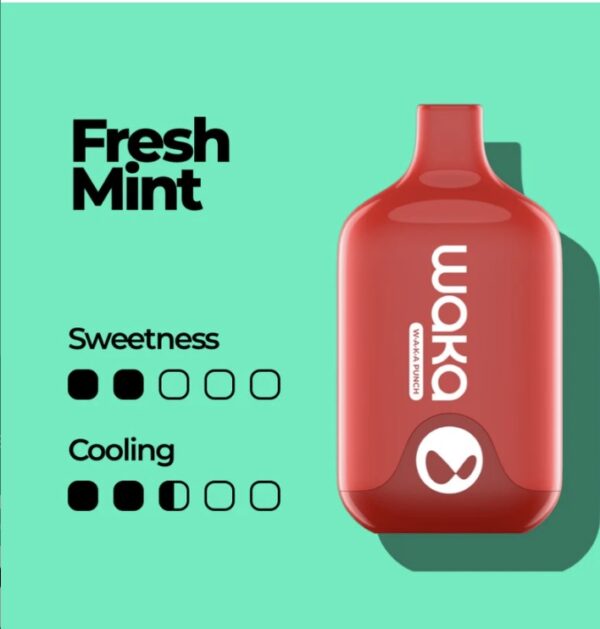 Waka Smash 6000 Puffs Disposable Vape Fresh Mint