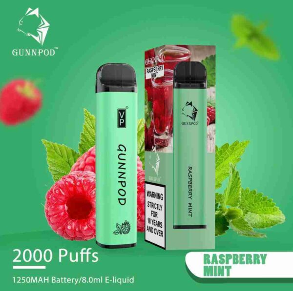 Raspberry Mint-2000 Puffs