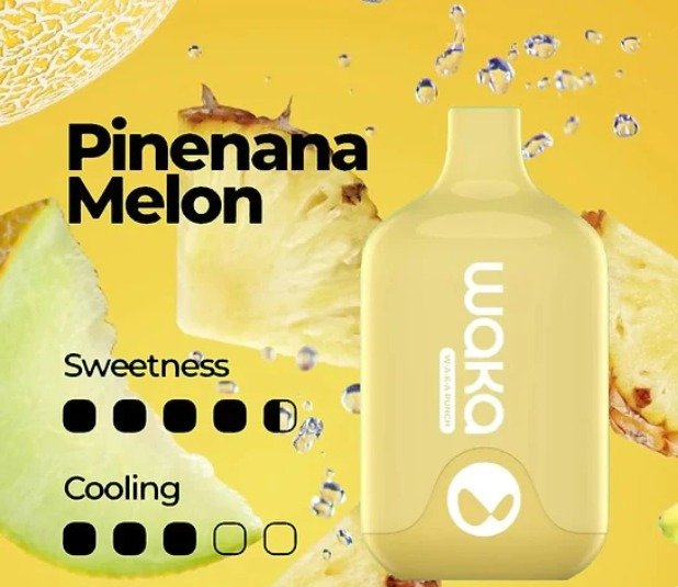 WAKA SMASH PINEANA MELON – 6000 PUFFS